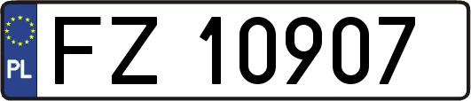FZ10907