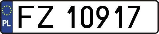 FZ10917