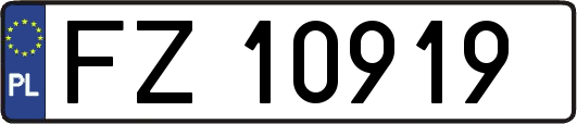 FZ10919