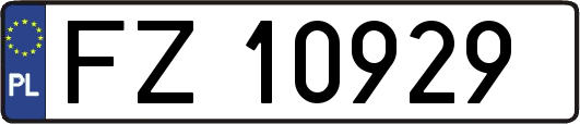 FZ10929