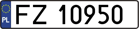 FZ10950