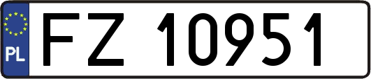 FZ10951
