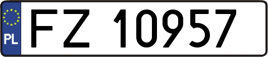 FZ10957