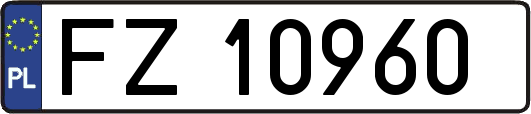 FZ10960