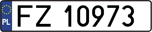 FZ10973