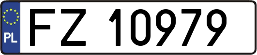 FZ10979