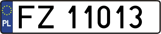 FZ11013