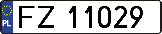 FZ11029