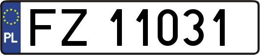 FZ11031
