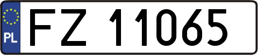 FZ11065