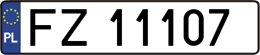 FZ11107