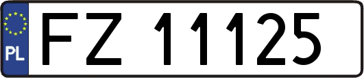 FZ11125