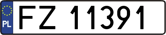FZ11391