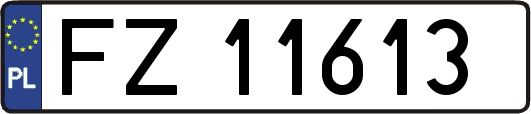 FZ11613