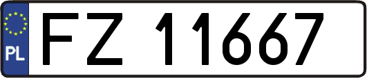 FZ11667