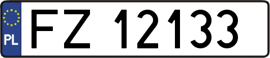 FZ12133