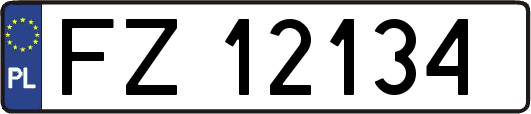 FZ12134