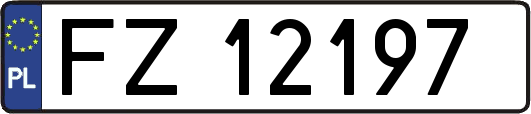 FZ12197