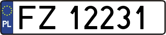 FZ12231