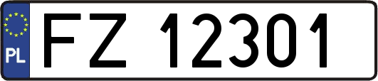 FZ12301