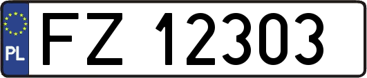 FZ12303