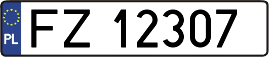 FZ12307