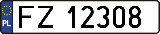 FZ12308