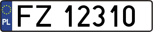 FZ12310