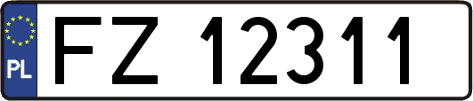 FZ12311