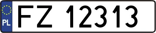 FZ12313