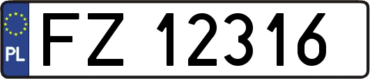 FZ12316