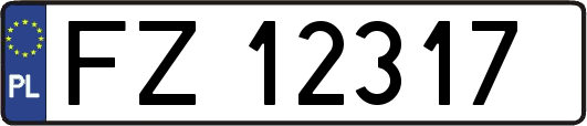 FZ12317