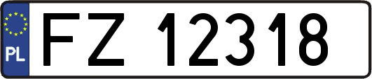 FZ12318