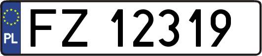 FZ12319