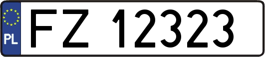 FZ12323