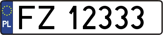 FZ12333