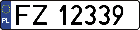FZ12339