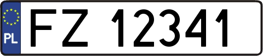 FZ12341