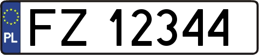 FZ12344