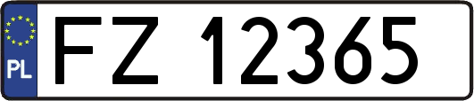 FZ12365