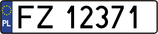 FZ12371