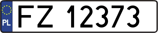 FZ12373