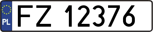 FZ12376