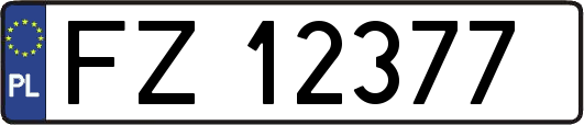 FZ12377