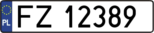 FZ12389