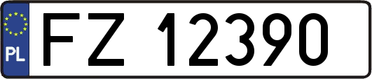 FZ12390