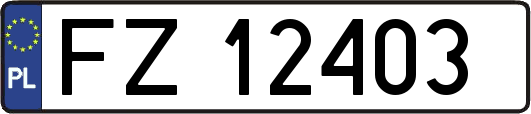 FZ12403