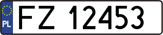 FZ12453
