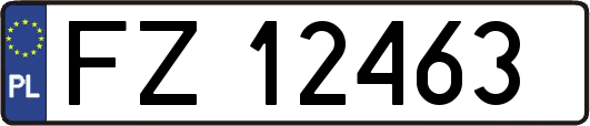 FZ12463