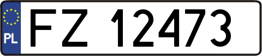 FZ12473